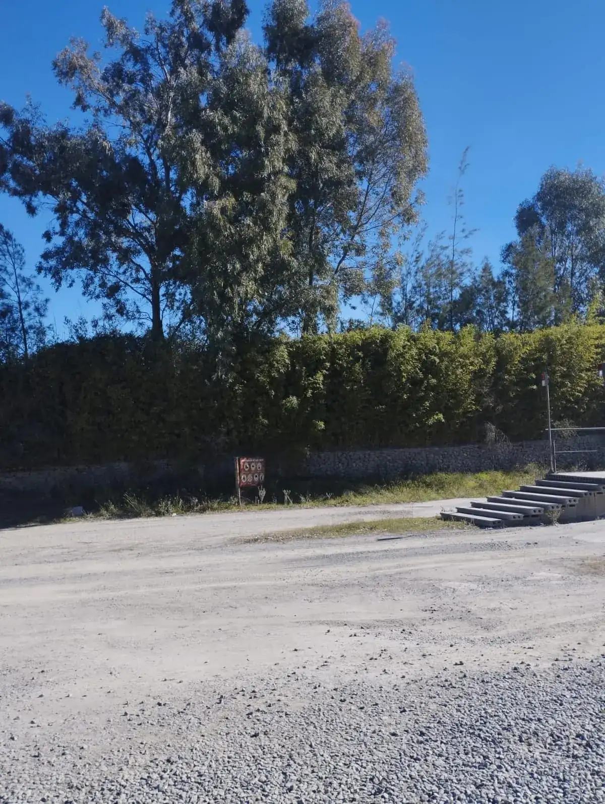 Forestación en cantera Cerro Federación